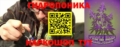 PSILOCYBIN Обь