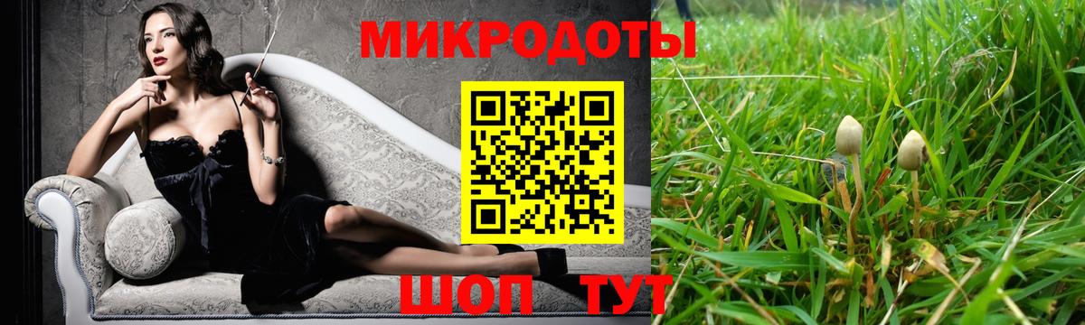 Псилоцибиновые грибы мицелий Усинск
